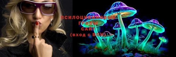 ECSTASY Алексеевка