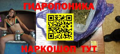 гашик Кунгур
