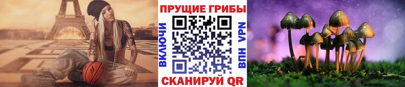 Псилоцибиновые грибы мицелий что такое Ефремов