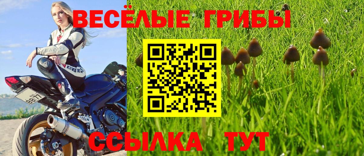 Галлюциногенные грибы мицелий  Вход с VPN  Галлюциногенные грибы мицелий  Ефремов 